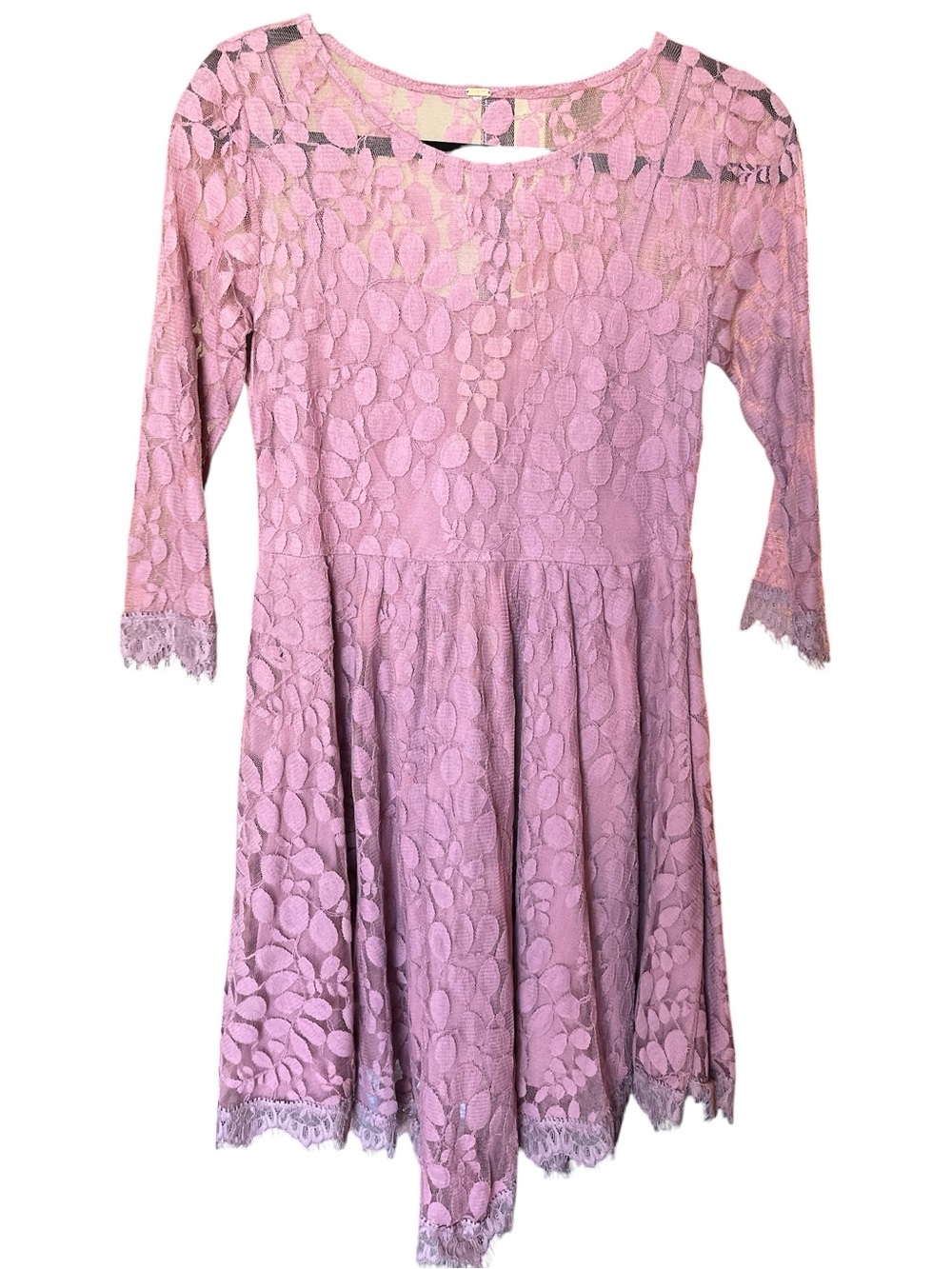 Free People Pink Lace Fit-and-Flare Mini Dress
